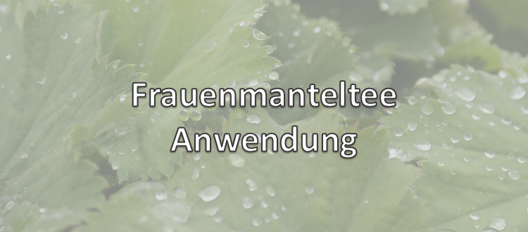 Frauenmanteltee Anwendung