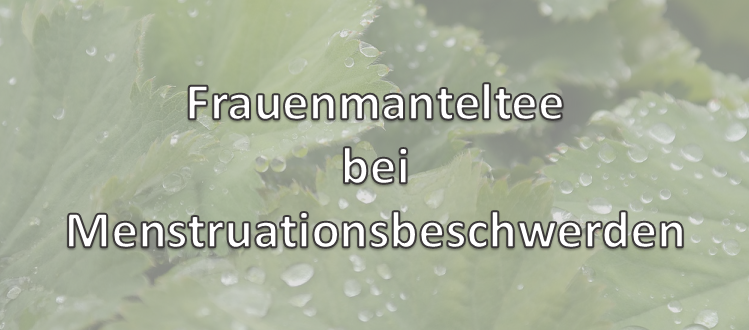 Frauenmanteltee bei Menstruationsbeschwerden