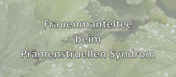 Frauenmanteltee beim Prämenstruellen Syndrom PMS