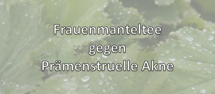 Frauenmanteltee gegen Prämenstruelle Akne